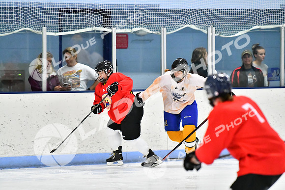 230801_FCHL_W_Panhandlers_Sweetwater015