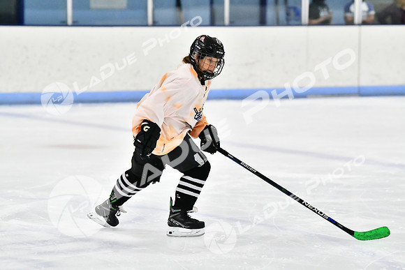 230801_FCHL_W_Panhandlers_Sweetwater027