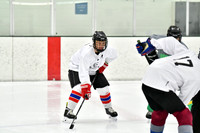 240212_FCHL_C2_CrookedStave_TLE011