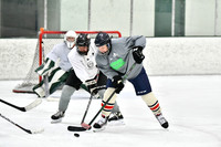 240212_FCHL_C2_CrookedStave_TLE023