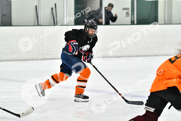 240212_FCHL_C2_PollockTax_CheyenneTaxidermy016