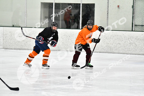 240212_FCHL_C2_PollockTax_CheyenneTaxidermy017