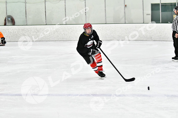 240212_FCHL_C2_PollockTax_CheyenneTaxidermy018