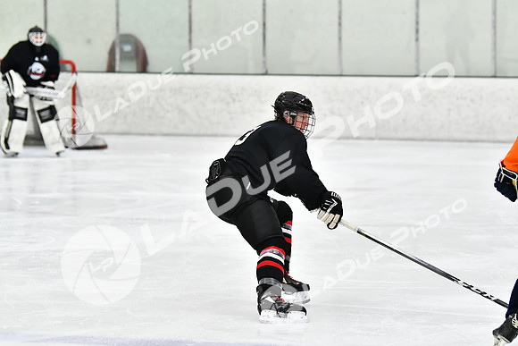 240212_FCHL_C2_PollockTax_CheyenneTaxidermy022