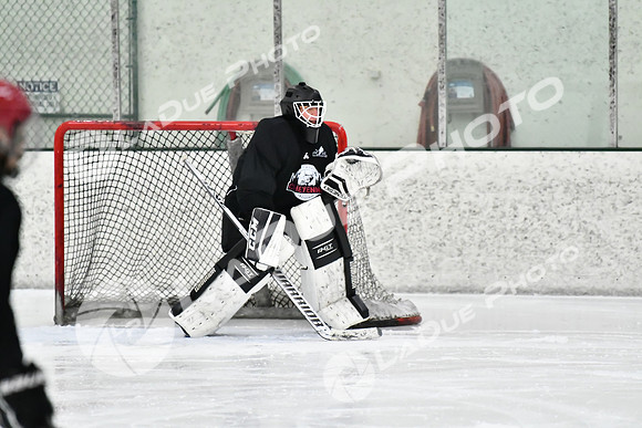 240212_FCHL_C2_PollockTax_CheyenneTaxidermy023