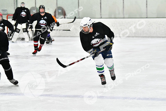 240212_FCHL_C2_PollockTax_CheyenneTaxidermy029