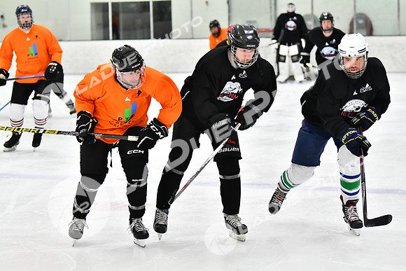 240212_FCHL_C2_PollockTax_CheyenneTaxidermy030