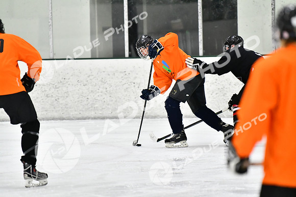 240212_FCHL_C2_PollockTax_CheyenneTaxidermy032