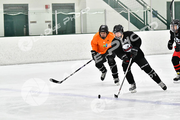 240212_FCHL_C2_PollockTax_CheyenneTaxidermy034