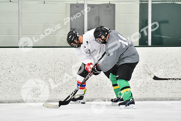 240212_FCHL_C2_CrookedStave_TLE058