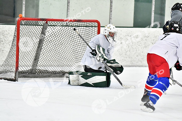 240212_FCHL_C2_CrookedStave_TLE075