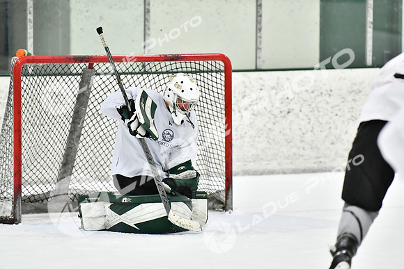240212_FCHL_C2_CrookedStave_TLE098
