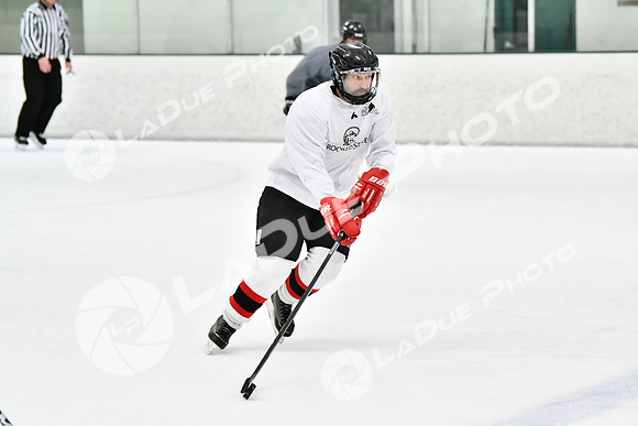 240212_FCHL_C2_CrookedStave_TLE103