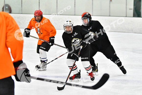 240225_FCHL_E_JurassickPuck_SkatefulDead021