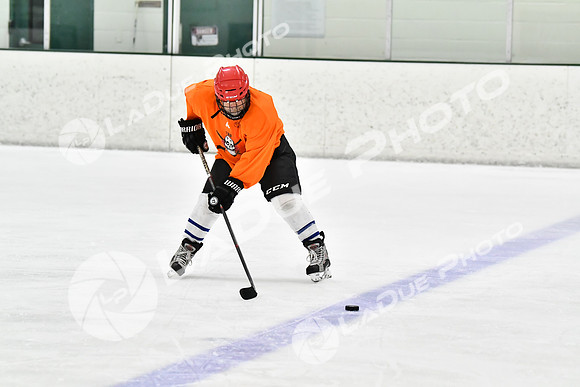 240225_FCHL_E_JurassickPuck_SkatefulDead101