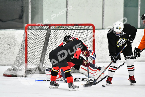 240225_FCHL_E_JurassickPuck_SkatefulDead109