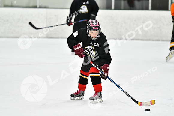240225_FCHL_E_JurassickPuck_SkatefulDead160