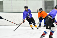 240226_FCHL_C2_PoleDancers_PollockTax7