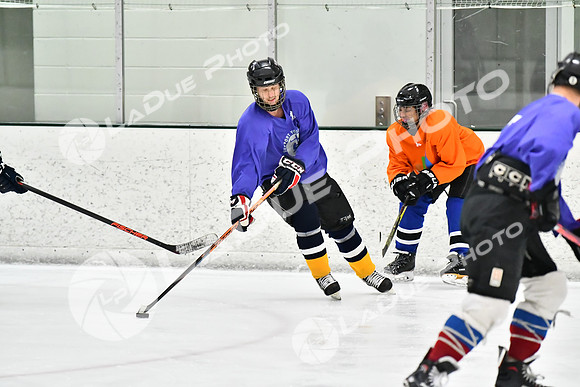 240226_FCHL_C2_PoleDancers_PollockTax7