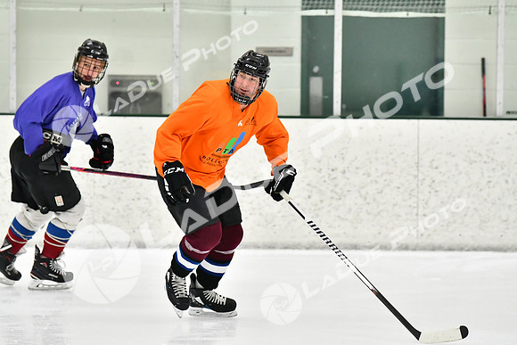 240226_FCHL_C2_PoleDancers_PollockTax8