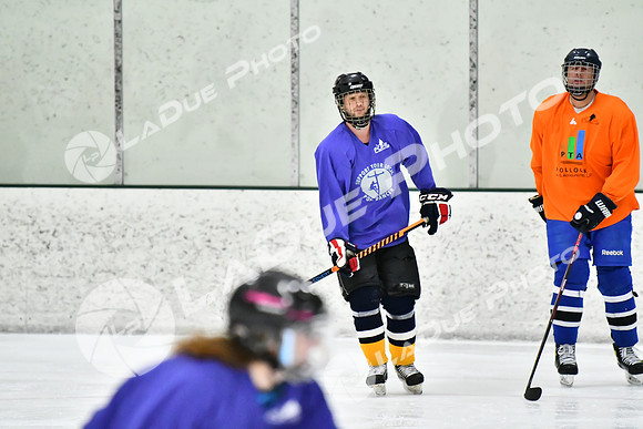 240226_FCHL_C2_PoleDancers_PollockTax5