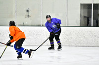 240226_FCHL_C2_PoleDancers_PollockTax9