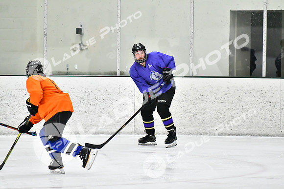 240226_FCHL_C2_PoleDancers_PollockTax9