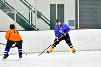 240226_FCHL_C2_PoleDancers_PollockTax10