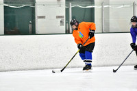 240226_FCHL_C2_PoleDancers_PollockTax11