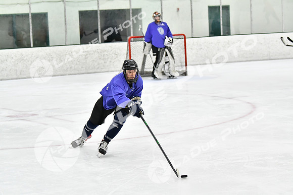 240226_FCHL_C2_PoleDancers_PollockTax14