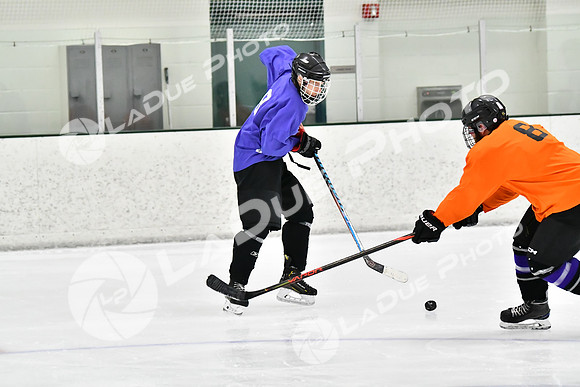 240226_FCHL_C2_PoleDancers_PollockTax16