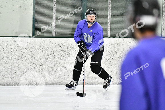 240226_FCHL_C2_PoleDancers_PollockTax17