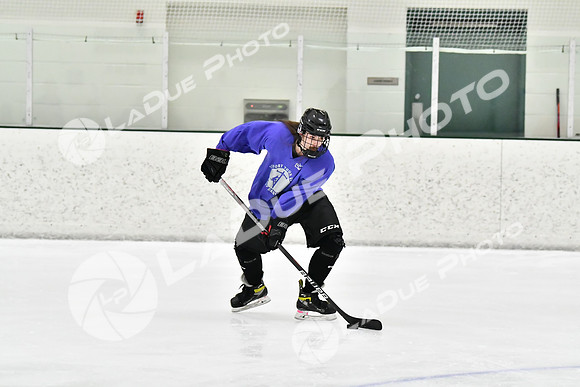 240226_FCHL_C2_PoleDancers_PollockTax18