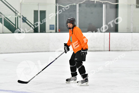 240226_FCHL_C2_PoleDancers_PollockTax19