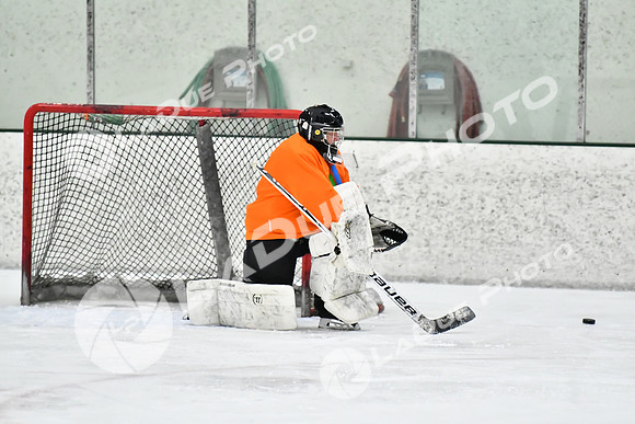 240226_FCHL_C2_PoleDancers_PollockTax20