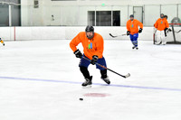 240226_FCHL_C2_PoleDancers_PollockTax21
