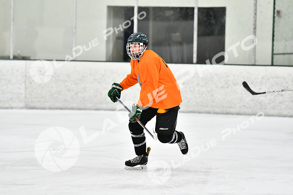 240226_FCHL_C2_PoleDancers_PollockTax22