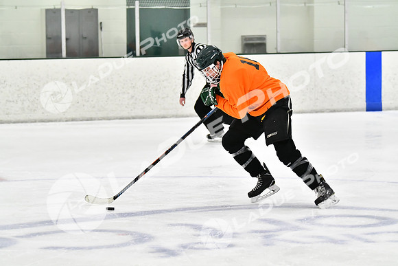 240226_FCHL_C2_PoleDancers_PollockTax23