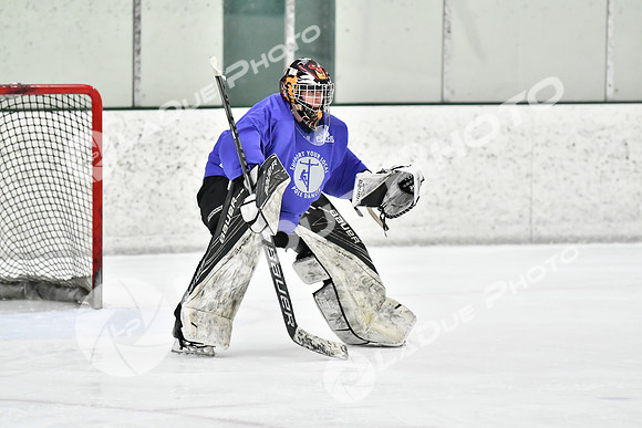 240226_FCHL_C2_PoleDancers_PollockTax24