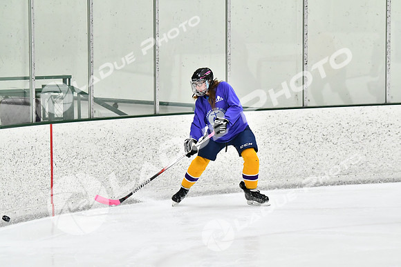 240226_FCHL_C2_PoleDancers_PollockTax25