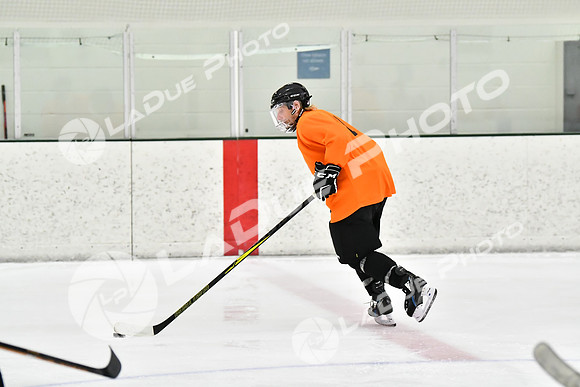 240226_FCHL_C2_PoleDancers_PollockTax29