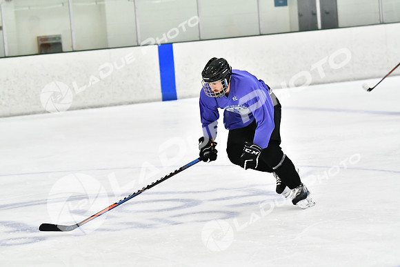 240226_FCHL_C2_PoleDancers_PollockTax37