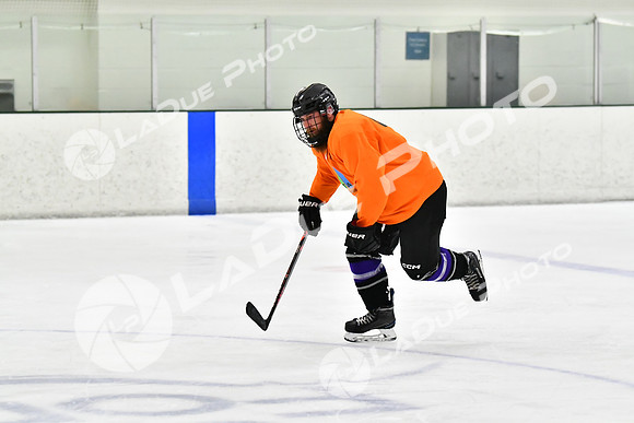 240226_FCHL_C2_PoleDancers_PollockTax41