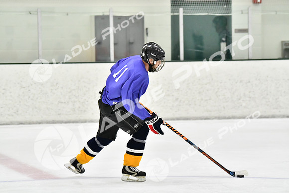 240226_FCHL_C2_PoleDancers_PollockTax50