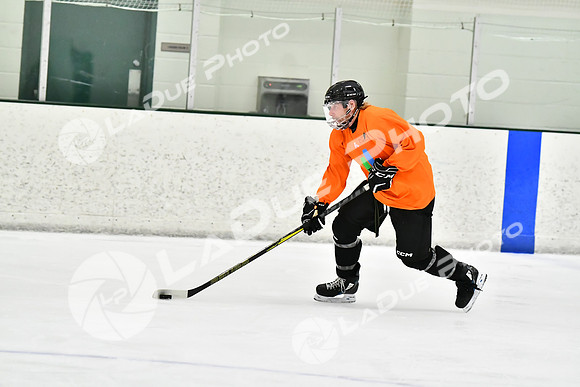 240226_FCHL_C2_PoleDancers_PollockTax56