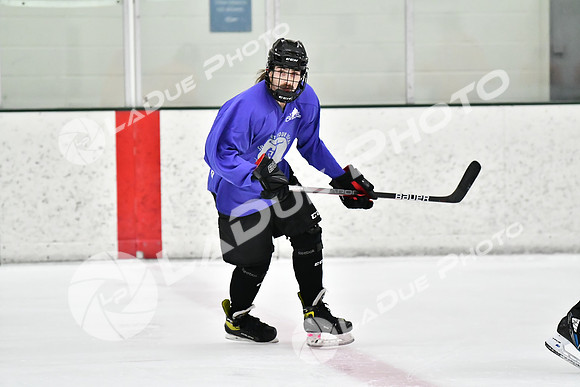 240226_FCHL_C2_PoleDancers_PollockTax58
