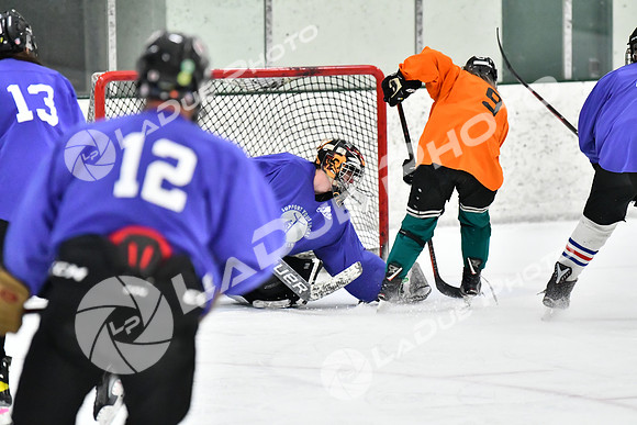 240226_FCHL_C2_PoleDancers_PollockTax61