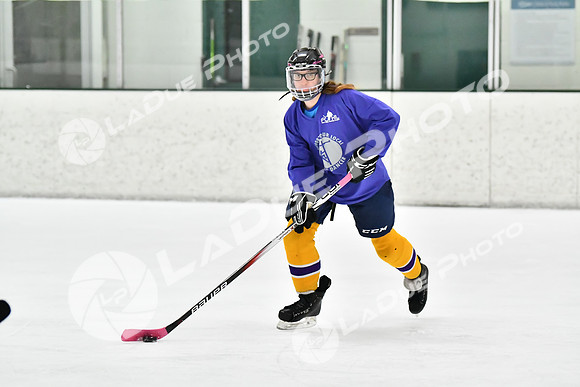 240226_FCHL_C2_PoleDancers_PollockTax68