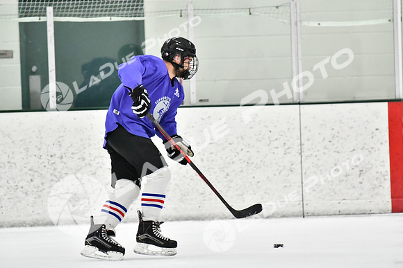 240226_FCHL_C2_PoleDancers_PollockTax69