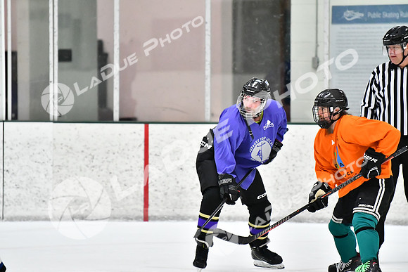 240226_FCHL_C2_PoleDancers_PollockTax70
